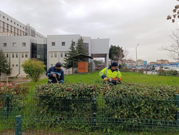 ff3b097f-cb67-43d9-8a1c-dd5b6ed401e9