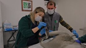 0468952b-59fd-4926-b2fe-e27252693648