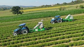 b7360e23-f3c6-4ce0-a4dd-ca7e2be35c97