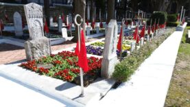 cead26dc-a0fd-409b-bcdd-2a608b3f51a5