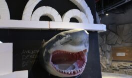 21e5be3a-edbd-42c5-a492-d30bc06c6aeb