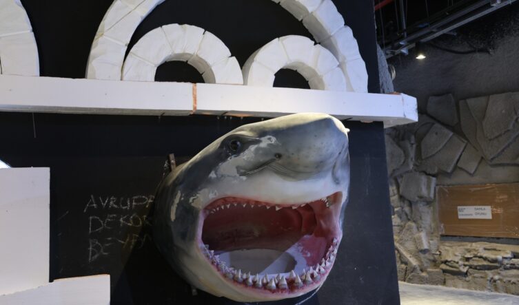 21e5be3a-edbd-42c5-a492-d30bc06c6aeb