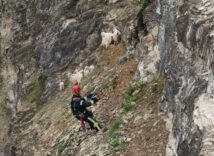 61058387-4e49-4221-855d-aac2d29433b3