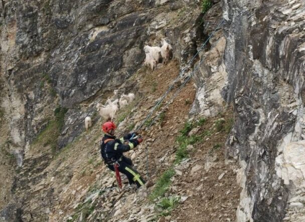 61058387-4e49-4221-855d-aac2d29433b3