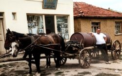 668339224_10162788204292005_8546261725028585140_n