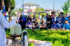 7ca02cf6_eaca_4c48_970d_b1861b26a08d_800_600