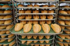 8ca177a4-2e7b-44a6-8c74-4bc177df98ae