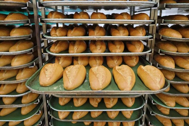 8ca177a4-2e7b-44a6-8c74-4bc177df98ae