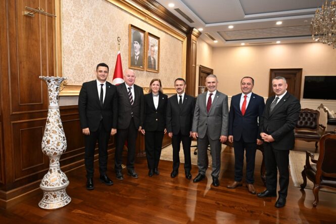 WhatsApp Image 2026-03-31 at 15.04.12