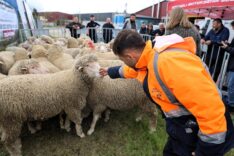 a9e56538-8df3-41d5-9229-0cac5c14ac5f