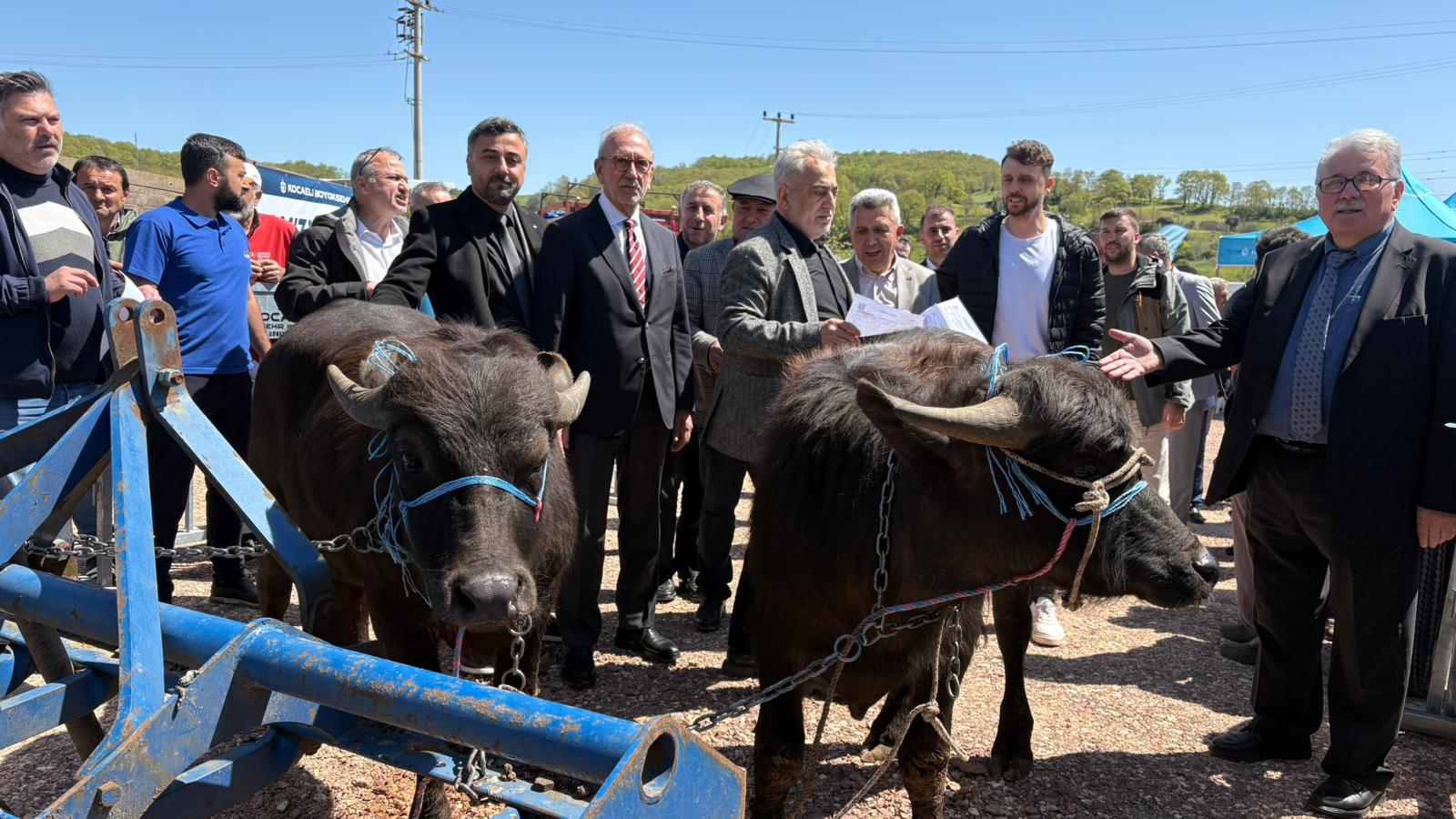 Kocaeli’de hayvancılık, Büyükşehir’le daha kolay