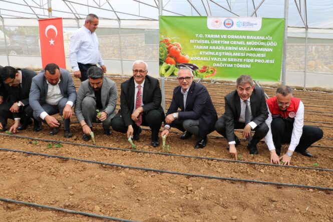 Tarlalar bereketleniyor, Kocaeli çiftçisi kazanıyor (1)
