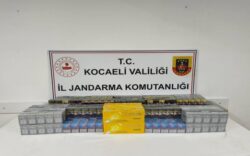 Dilovası yakalama