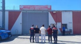 Gölcük yakalama