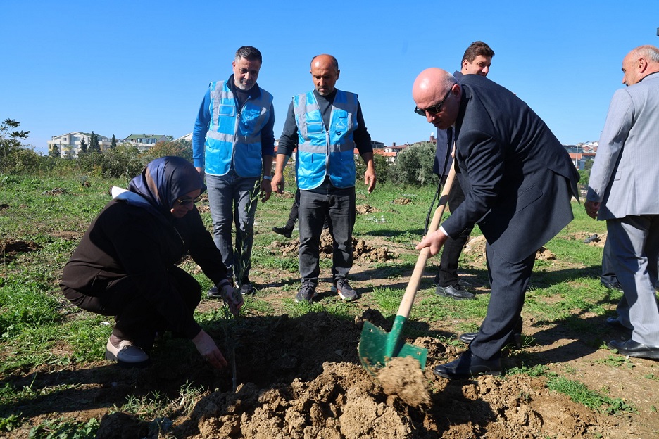 Zeytin Festivali’nde zeytin fidanları toprakla buluştu