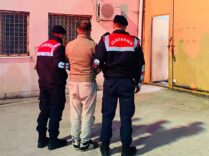 Fotoğraf (13)
